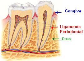 Periodontia - Siga Ortodontia e Implantes DF Periodontia - Siga Ortodontia e Implantes DF